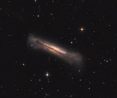 پرتره‌ای از NGC 3628