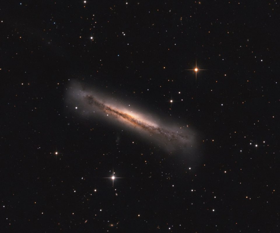 پرتره‌ای از NGC 3628
