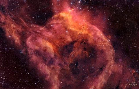 NGC 3572 و نوزادان قورباغهٔ جنوبی