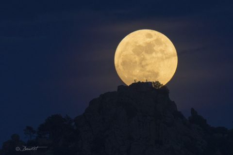 مرد ماه را پیدا کنید