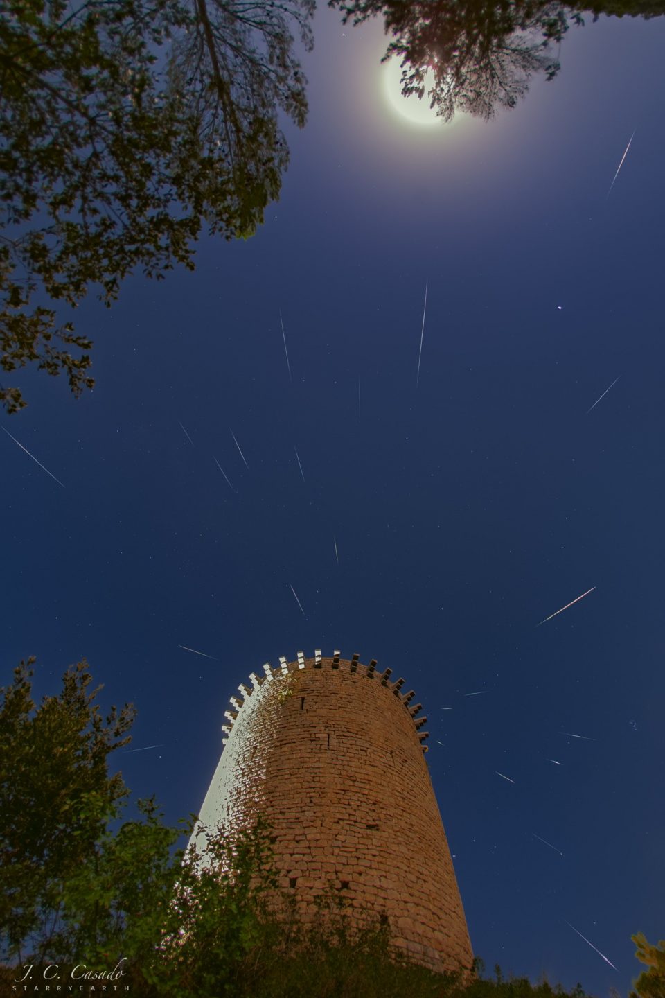 برساوشی‌ها در ماه کامل