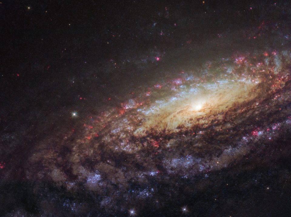 نمای نزدیک NGC 7331