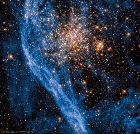 NGC 1850: چیزی که در راه شیری یافت نمی‌شود