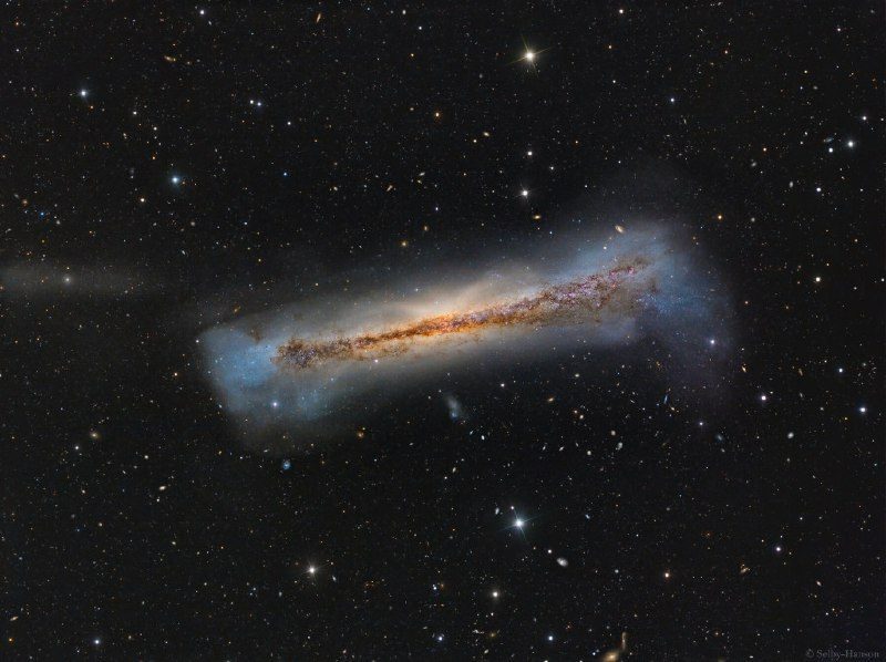 پرتره از NGC 3628