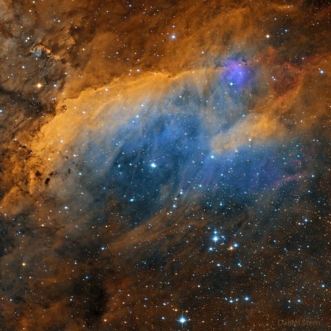 IC 4628: سحابی میگو