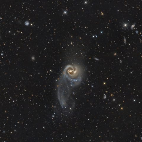 Arp 93: A Cosmic Embrace