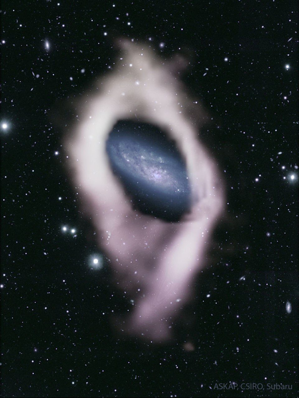 NGC 4632: کهکشان با حلقه قطبی پنهان