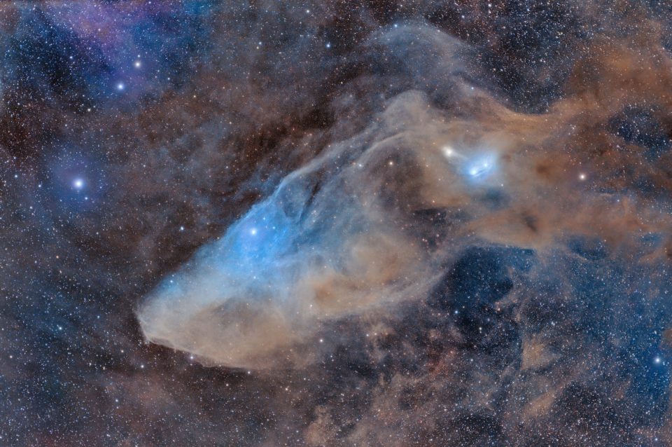 IC 4592: سحابی بازتاب سر اسب آبی