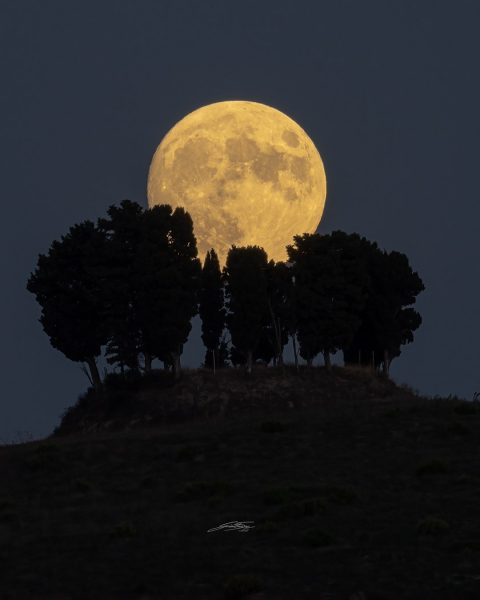 یک ماه برداشت بر فراز توسکانی