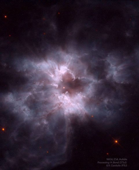 ء NGC 2440: پیله یک کوتوله سفید جدید