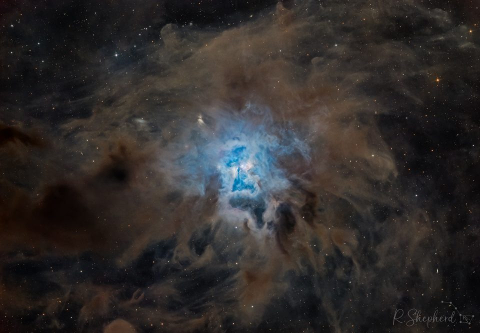 سحابی NGC 7023: سحابی زنبق