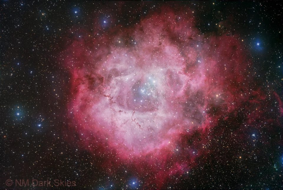 یک گل کیهانی: NGC 2237 در تک‌شاخ