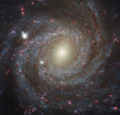 مقابل کهکشان NGC 3344