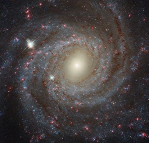 مقابل کهکشان NGC 3344