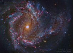 در مرکز کهکشان مارپیچی M61