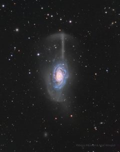 کهکشان چتری NGC 4651