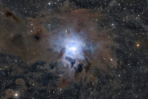NGC 7023: سحابی زنبق