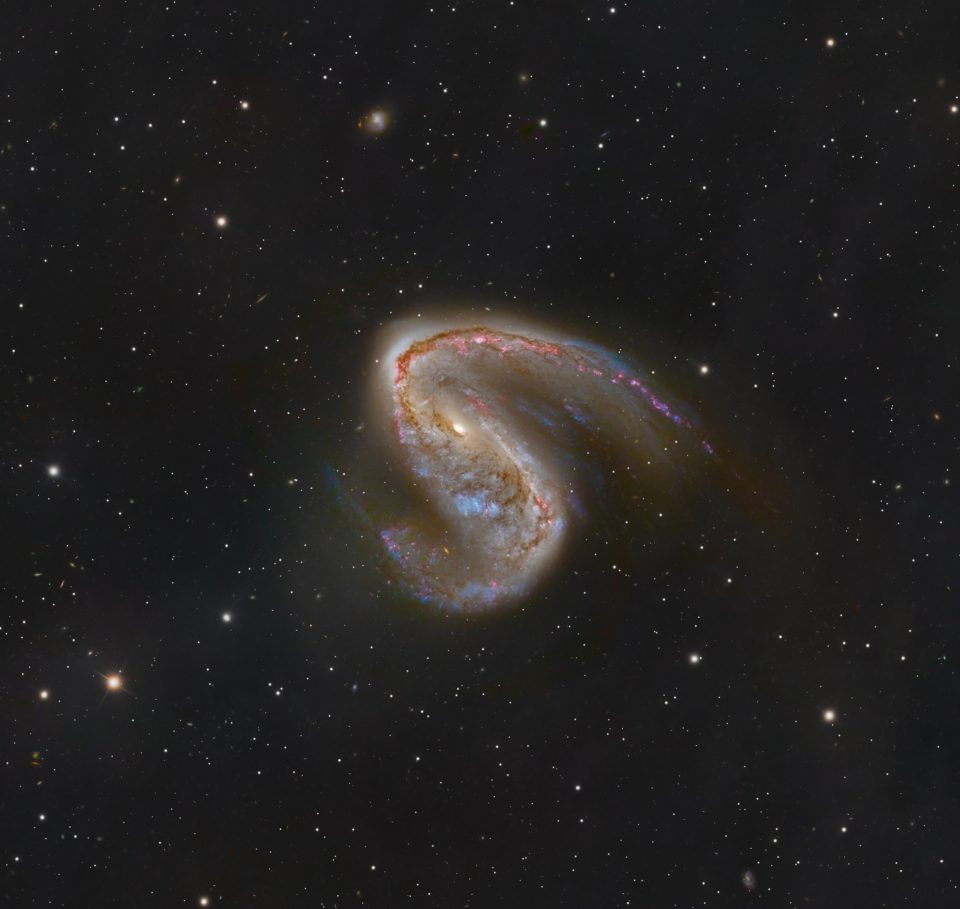 NGC 2442: کهکشانی در ماهی پرنده